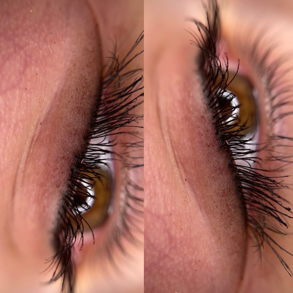 222f4f73 5aed 475e 9a78 68375a9103c3