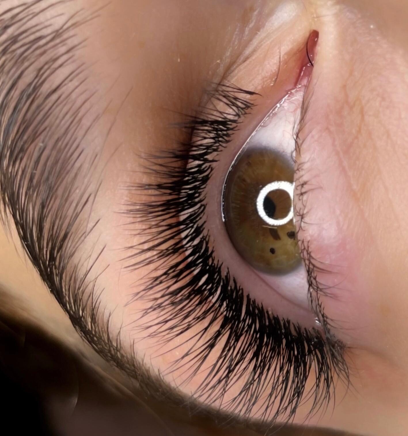 whatsapp image 2026 02 05 at 12.18.46