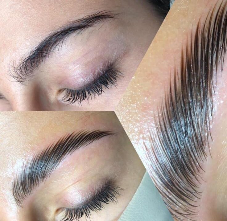 whatsapp image 2026 02 05 at 12.26.01